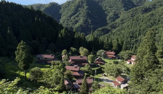 旅行の持ち物にパックテスト！？現地の水をブンセキしてみた